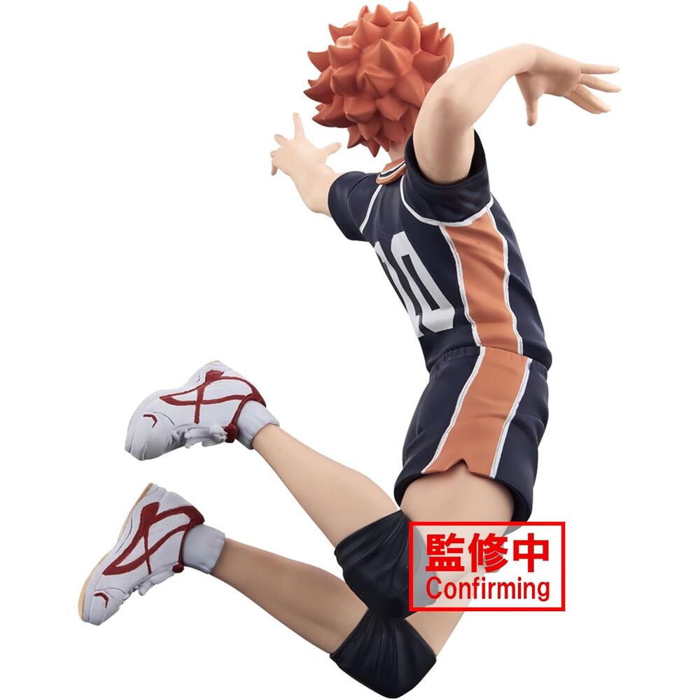 Haikyu!! - Shoyo Hinata